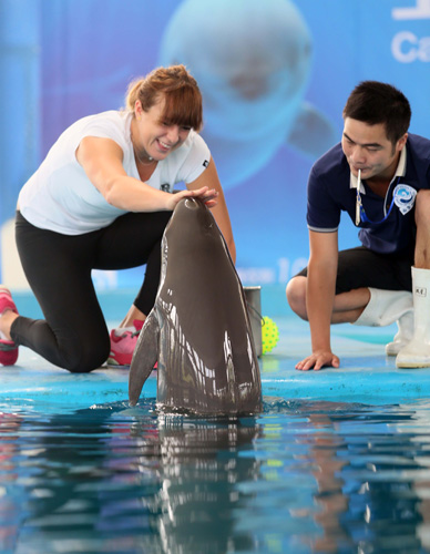 界頂級隊伍 界頂級隊伍